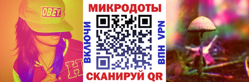 Галлюциногенные грибы мухоморы  Купить закладки  Бокситогорск 